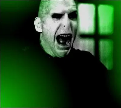 [Avada Kedavra, le quiz qui tue] Parmi ces personnages, qui n'est pas mort du sortilge de la Mort (dans les livres) ?