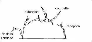Qu'est-ce que c'est ?