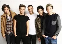 Qui a trouv le nom du groupe  One Direction  ?
