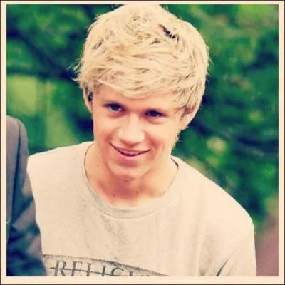 Qui sort avec Niall ?