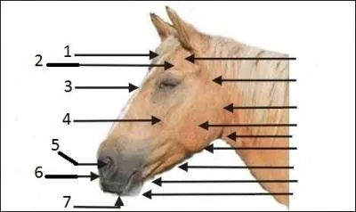 Comment se nomme la partie 2 ?