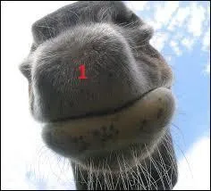 Comment se nomme la partie 1 ?