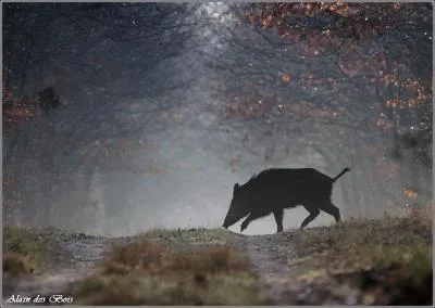 Rponse facile, cet animal vit  la ferme !