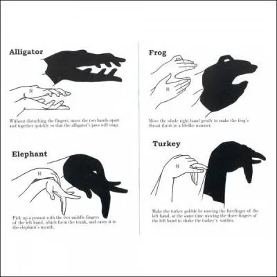 Sur cette image, il y a un oiseau dont le cri s'appelle le gloussement !