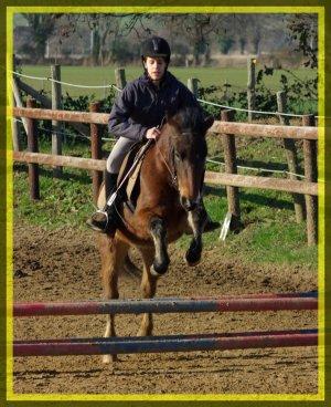Quiz Galop 3