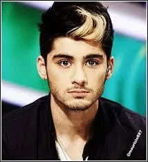 Qui lui a fait sa mche blonde ?