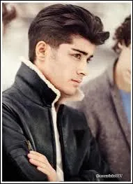 Combien Zayn a-t-il de soeur(s) ?