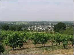 Le Bonnezeaux, vin produit en Maine-et-Loire est un vin :