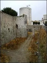 Quel roi est n� au ch�teau de Dourdan ?