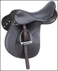 Comment s'appelle la partie qui retient les triers sur la selle ?