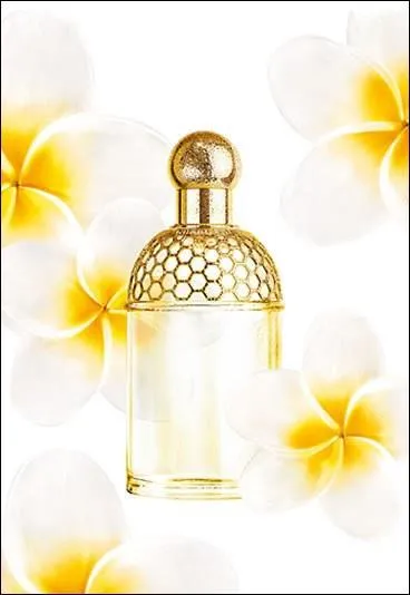 Quel est le nom de ce parfum ?