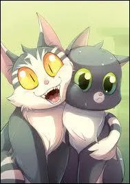 Quel est le chapeau que John n'enlve jamais ?