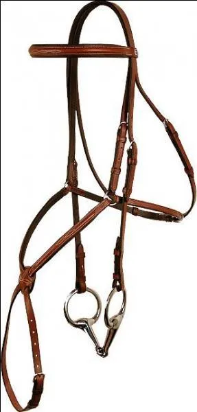 Le filet du cheval a une sous-gorge.