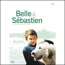 Ce coffret reprsente une saison de la srie TV, laquelle ?