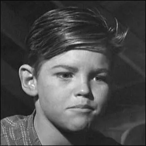 Quel acteur double Arthur dans la version originale du dessin anim ?