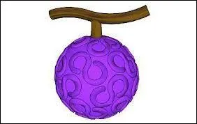 Ce fruit du dmon permet d'excuter :