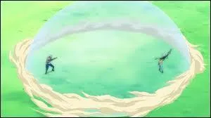 A qui appartient cette technique ?