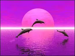 Est-ce une peluche ou un vritable animal ?