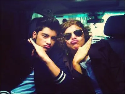 De quoi fait-il la collection ?