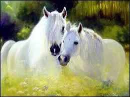 L'âne est de la même famille que le cheval.