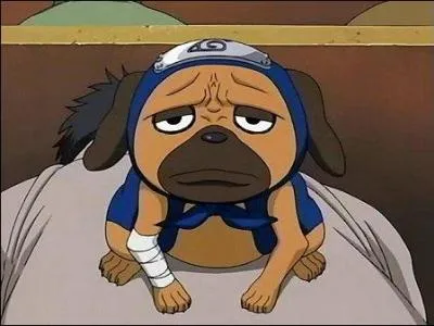 Comment s'appelle ce chien ninja ?