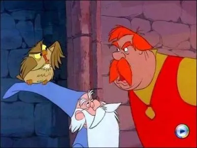 Afin de le convaincre de l'efficience de sa magie, quel sort Merlin envoie-t-il  Hector ?