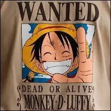  combien s'lve la premire prime de Monkey-D-Luffy ?