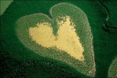 Quel photographe a ralis La Terre vue du ciel ?