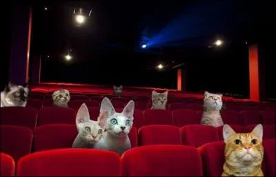 Rendez-vous dans les salles ! C'est un film sorti en 2011 sur la vie de Philippe, ttraplgique, et de son auxiliaire de vie Driss :