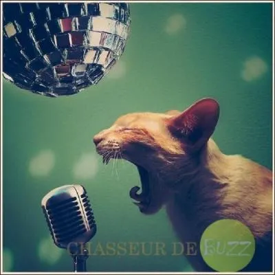 Casser la voix ! Orient vers l'criture  cause d'un accident, il est une des grandes figures du slam franais :