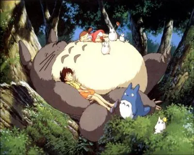 De quelle couleur est Ch-Totoro ?