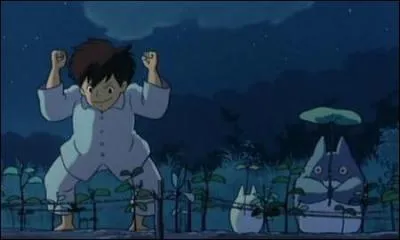 Que donnent les graines offertes par Ch-Totoro une fois plantes ?