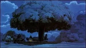 O les Totoro vivent-ils secrtement ?