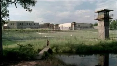 Combien de prisonniers les survivants trouvent-ils dans la prison  leur arrive ?