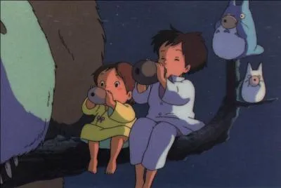 De quelle couleur est le plus gros des Totoro ?