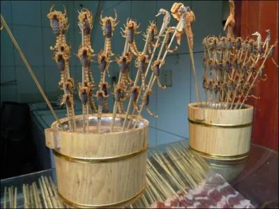 O pourrez-vous dguster une brochette de scorpions ?