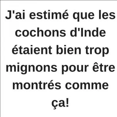 O peut-on manger du cochon d'Inde grill ?