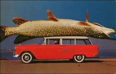 Un pcheur parisien vient d'attraper ce brochet dans la Seine, record du monde !