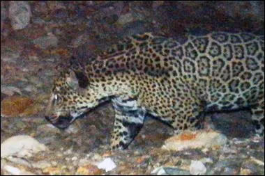 Revenons sur un autre flin, d'Amrique celui-ci !