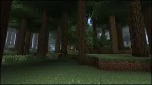 Quel est ce biome ?
