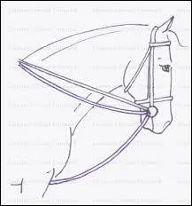 De quel enrnement s'agit-il ?