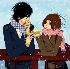 A quel shojo appartient ce couple ?