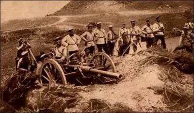 Durant son adolescence, Nicolas Romanov frquente une acadmie de sciences politiques et conomiques. Puis, il poursuit une carrire militaire. Quel grade occupera-t-il alors dans l'arme ?