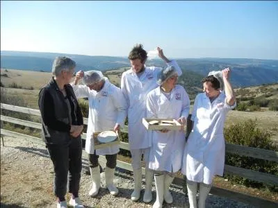 Mon fromage en appelle  la tendresse, il se nomme :