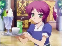 'Baka To Test To Shoukanjuu' : Shimada Minami est une lve de la classe F.