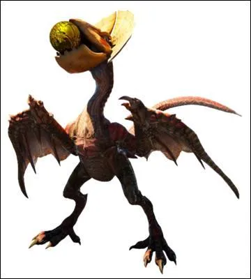 Que mange le Yian Kut Ku ?