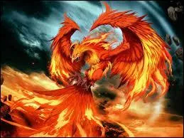 Complter :  Harry Potter et l'Ordre du...  