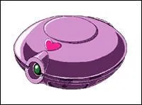 Comment s'appelle cet accessoire ?