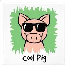 Cette ville existe vraiment :  Longcochon .