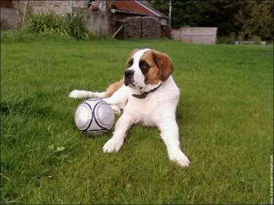 Pourquoi taient-ils utiliss  l'origine ?